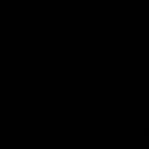 Meet your Posher, Ava